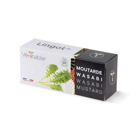 Véritable Lingot Muștar Wasabi - BIO